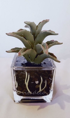 Mini suculenta en base de vidrio Deco - comprar online