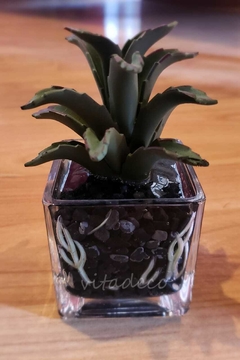 Imagen de Mini suculenta en base de vidrio Deco