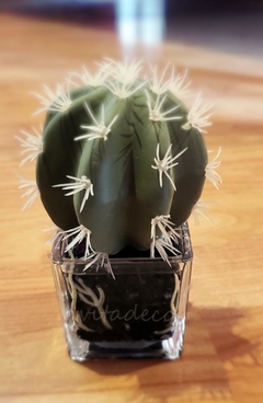 Mini suculenta en base de vidrio Deco