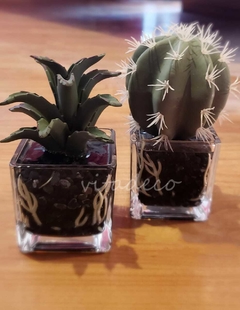 Mini suculenta en base de vidrio Deco - comprar online