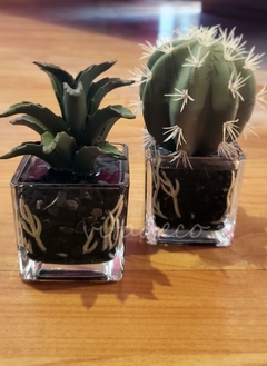 Mini suculenta en base de vidrio Deco en internet
