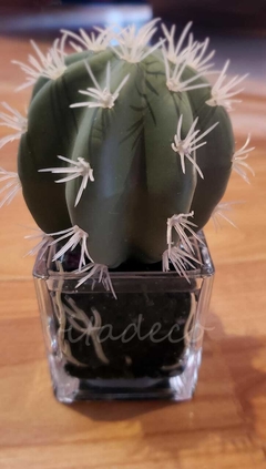 Mini suculenta en base de vidrio Deco - VITA DECO