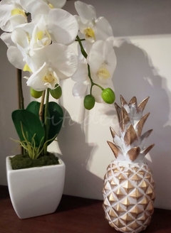 Piña Dorada Deco - VITA DECO