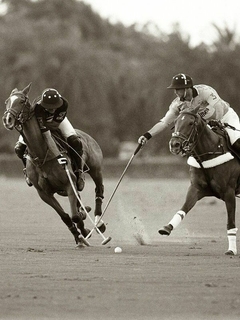 Banner de la categoría Polo