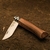 Navaja plegable Opinel Nº9 con mango de madera y hoja de acero inoxidable sobre un fondo de tierra.