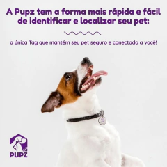 Tag de Identificação e Localização na internet