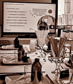 19/10/2024 - Workshop VELAS & PERFUMES - CERRADO en internet