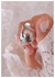 Anillo chapon / Aleación - comprar online