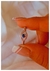 Anillo horus con detalles en micropave / acero quirúrgico