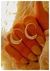 SEMI ARGOLLAS CURB 2.3CM / Enchapado plata 925 - comprar online
