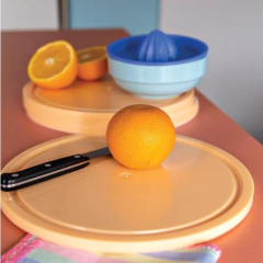 PLATOS PLÁSTICOS DE COLORES - Olivia Almacén de Curiosidades