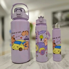 Set botellas capybara