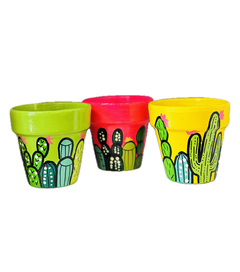 Macetas cactus N8