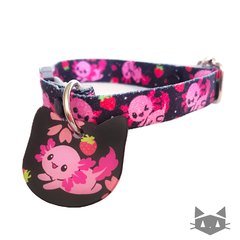 Collar Ajolote - comprar en línea