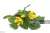 Lisimáquia (Lysimachia congestiflora)
