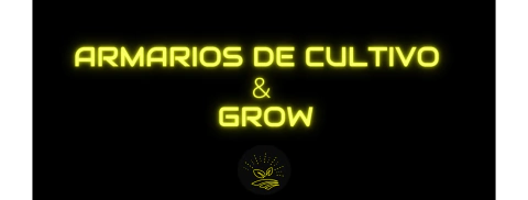 Imagen del carrusel 1