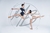 Banner de Maximo Ballet