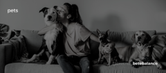 Banner da categoria Pets
