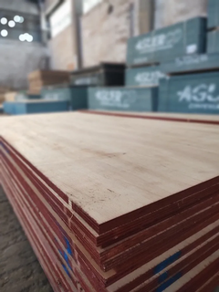 Fenolico Eucalipto Grandis Industrial 18mm (1,22 X 2,44) - tienda online