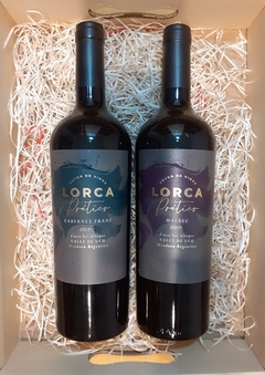 PROMO LORCA POÉTICO