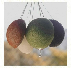 ESPONJAS KONJAC