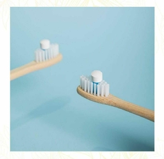 PASTA DENTAL SOLIDA "MERAKI" - comprar online