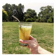 SORBETES REUTILIZABLES - comprar online