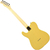 Bacchus BTE-1R - comprar online