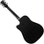 Ibanez PF16WMCE - tienda online