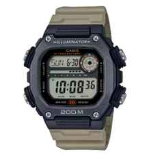 RELOJ CASIO DW-291HX-5AVDF