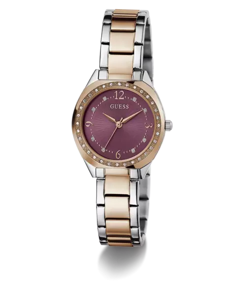 RELOJ GUESS GW0767L5