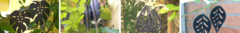 Banner da categoria Brincos