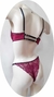 HORTENSIA - comprar online