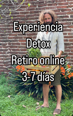 Experiencia Detox (Retiro Online)