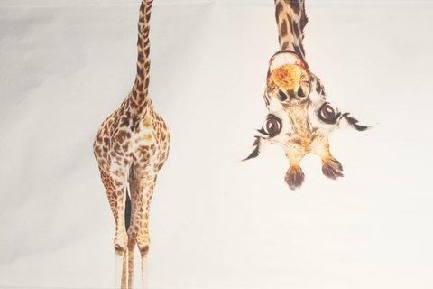 Mural Jirafa - PRE ORDER
