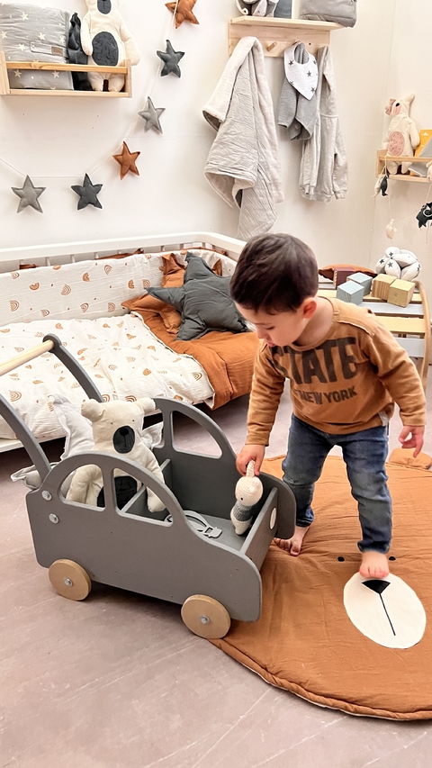 CARRITO AUTITO