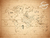 Mapamundi Vintage Ocre - LAS CARTOGRAFAS