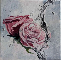 Rosa