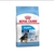 ROYAL CANIN PERRO MAXI PUPPY X 15KG