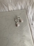 Argollitas con dijes de acero blanco - comprar online