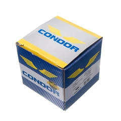 Conj. Inter. Luz Condor L.esquerdo Xr 200 - comprar online