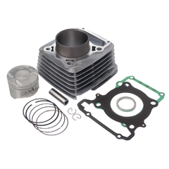 Kit Premium C/cilindro Pistao Junta Kmp.anel Rik Cbx 250 /08