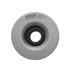 Filtro De Oleo Fram Ninja 250r (ch6012) na internet