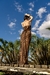 The Wild Dress en internet
