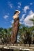 The Wild Dress - CASA GOGO