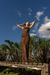 The Wild Dress - comprar online