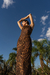 The Wild Dress en internet