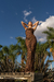 The Wild Dress - CASA GOGO