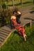 The Luisa Dress - tienda online