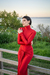 The Red Velvet dress en internet